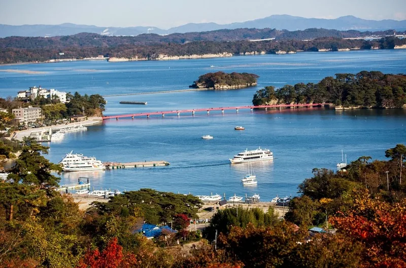 Matsushima Bay Day Tour with Cruise