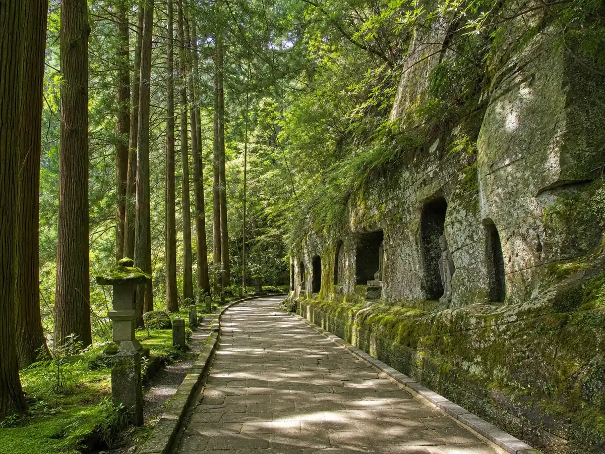 The cedar-lined approach to Zuiganji temple in Matsushima with caves cut into the rock