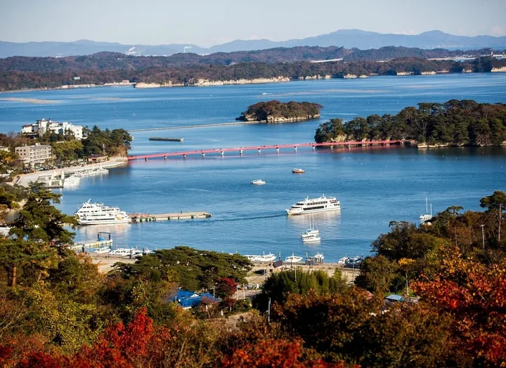 Matsushima Bay in autumn with pine islands and a red bridge